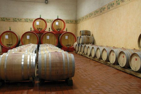 winnica tabarrini